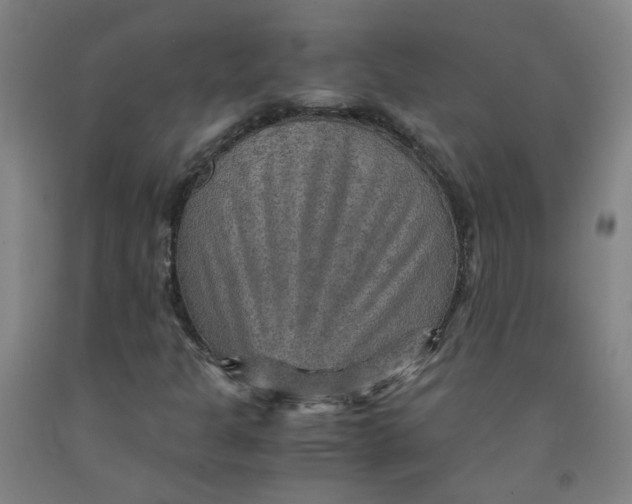 X0000091961301200709271338