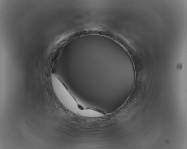 X0000091961303200709271338