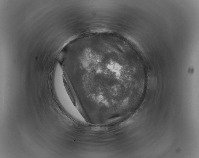 X0000091961305200709271338