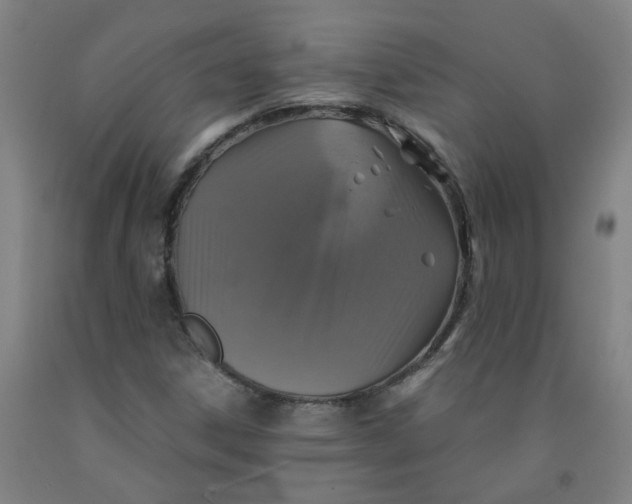 X0000091961306200709271338