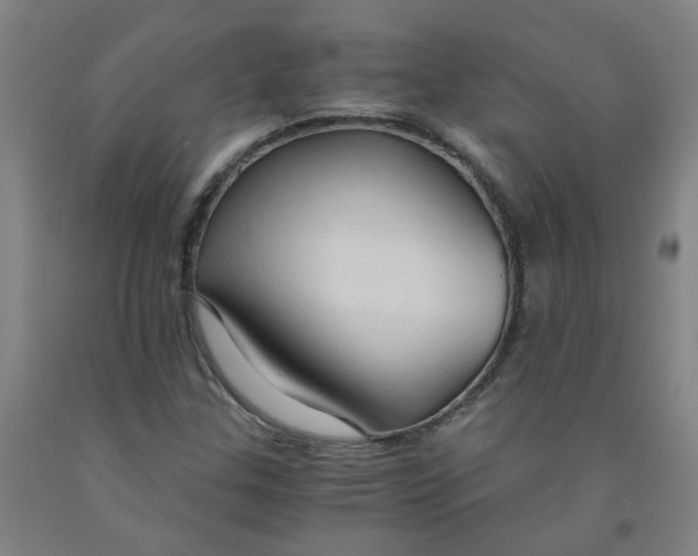 X0000091961307200709271338