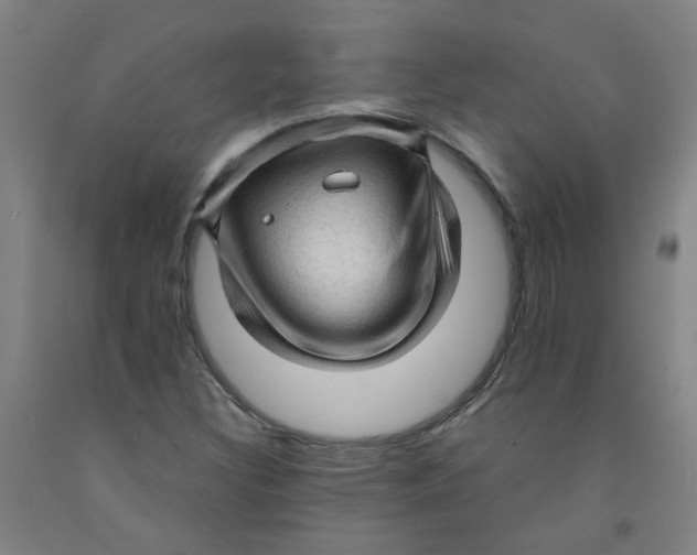 X0000091961308200709271338