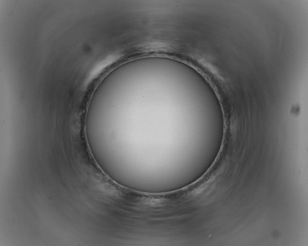 X0000091961309200709271338