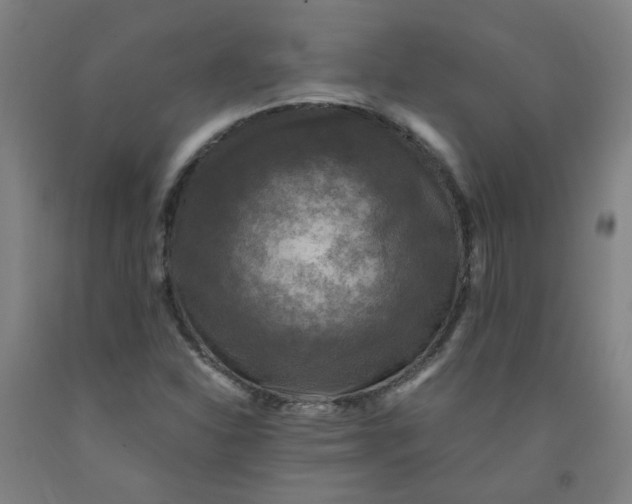 X0000091961310200709271338