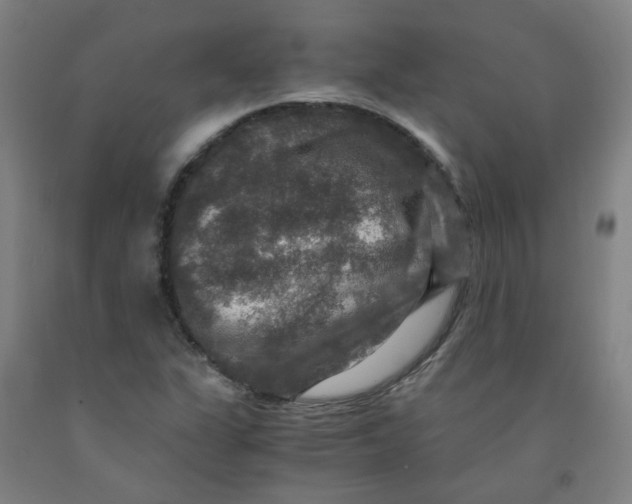 X0000091961311200709271338