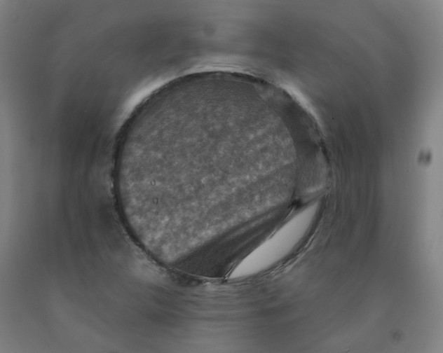 X0000091961312200709271338