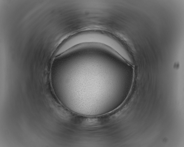 X0000091961313200709271338