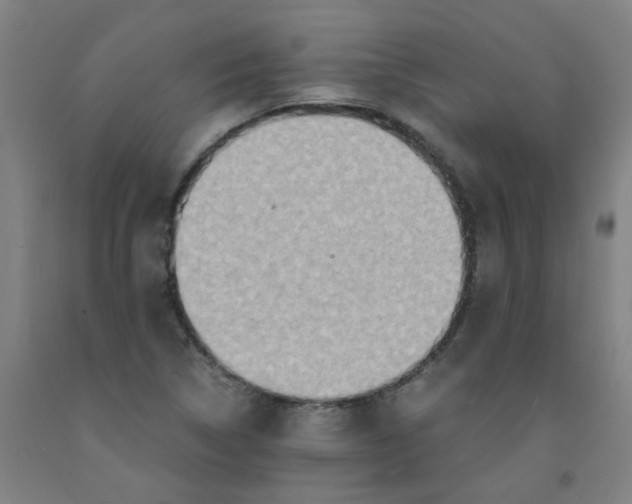 X0000091961314200709271338