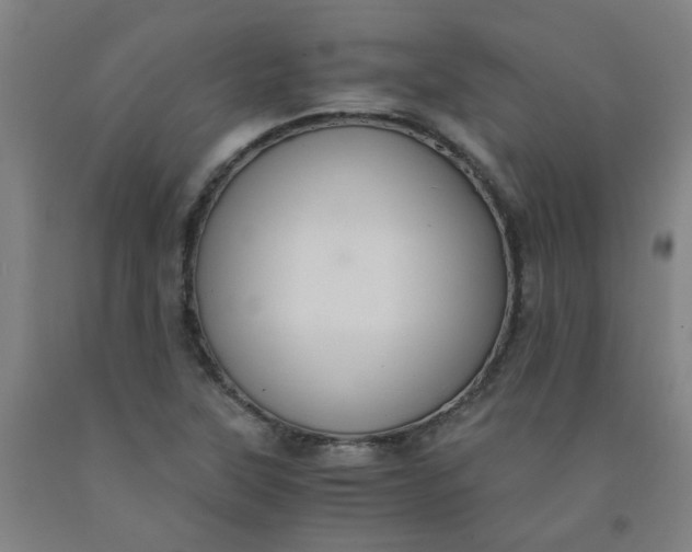 X0000091961315200709271338