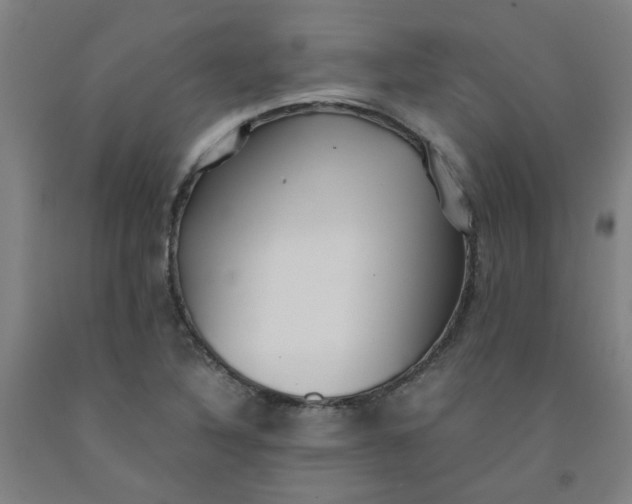 X0000091961316200709271338