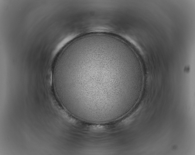 X0000091961317200709271338