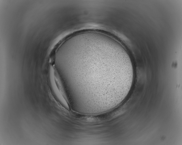 X0000091961318200709271338