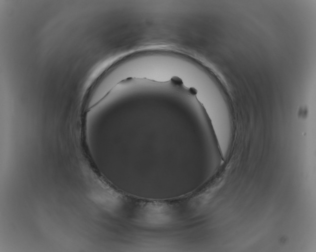 X0000091961319200709271338