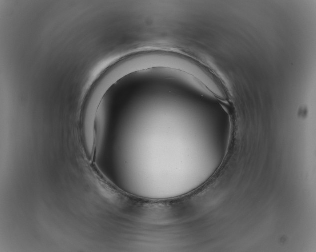 X0000091961320200709271338