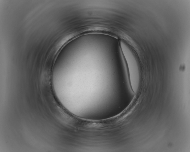 X0000091961321200709271338