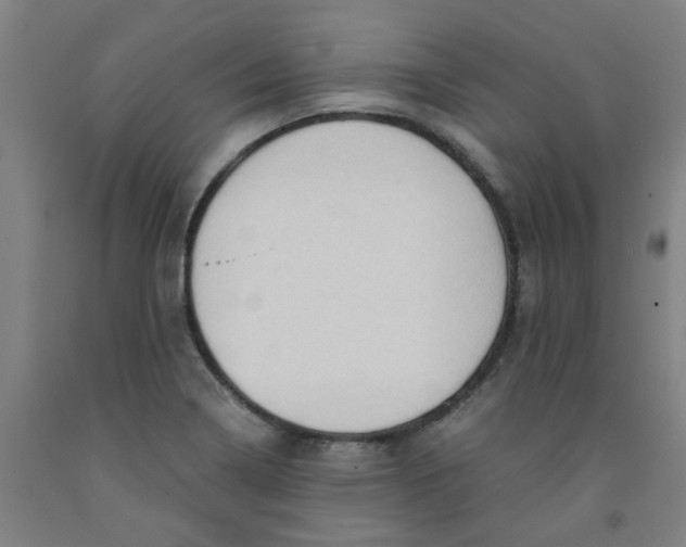 X0000091961322200709271338