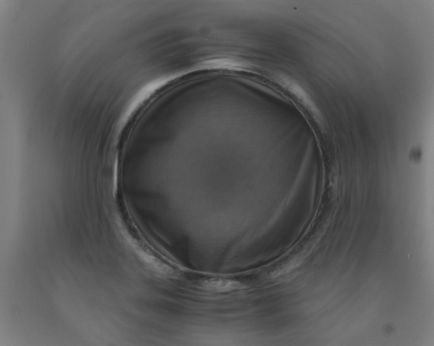 X0000091961323200709271338