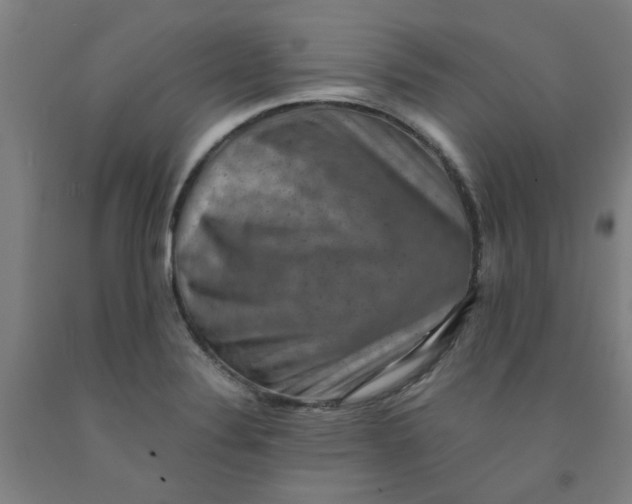 X0000091961324200709271338