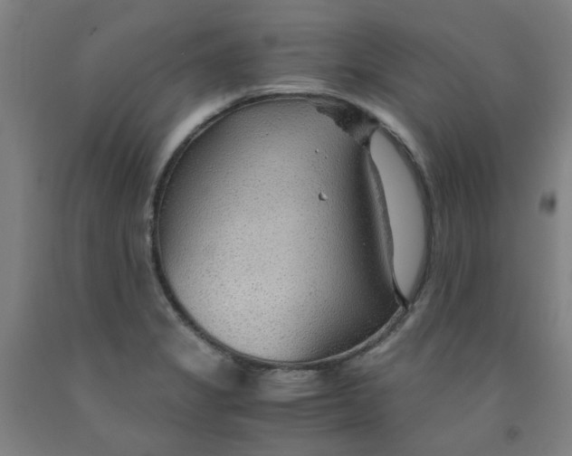 X0000091961325200709271338