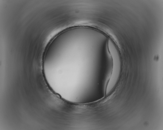 X0000091961328200709271338