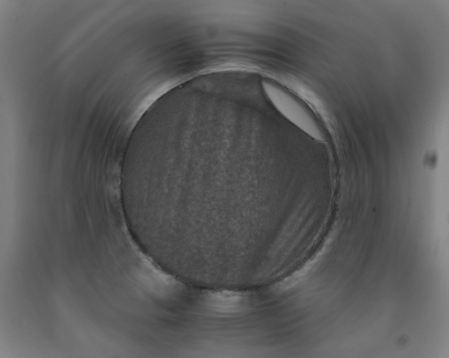 X0000091961329200709271338