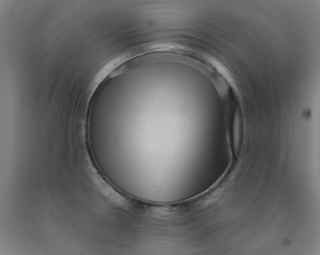 X0000091961330200709271338