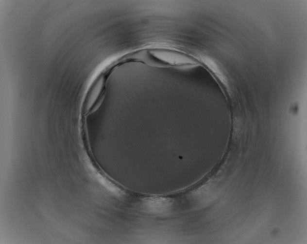 X0000091961331200709271338