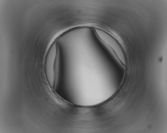 X0000091961332200709271338