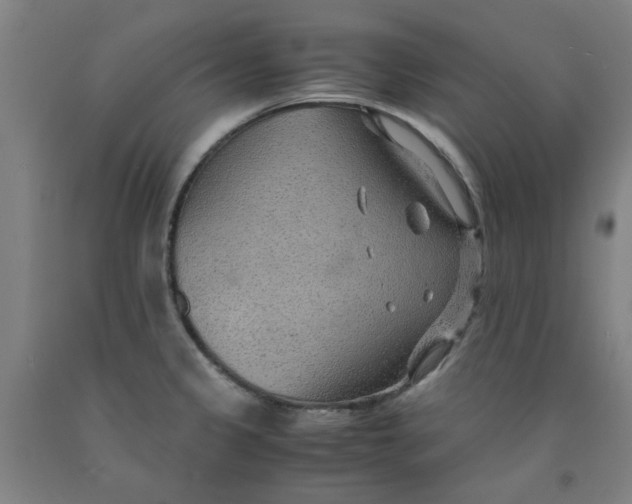 X0000091961333200709271338