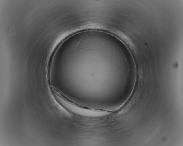 X0000091961334200709271338