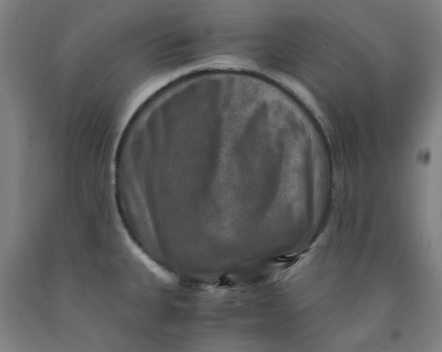 X0000091961335200709271338