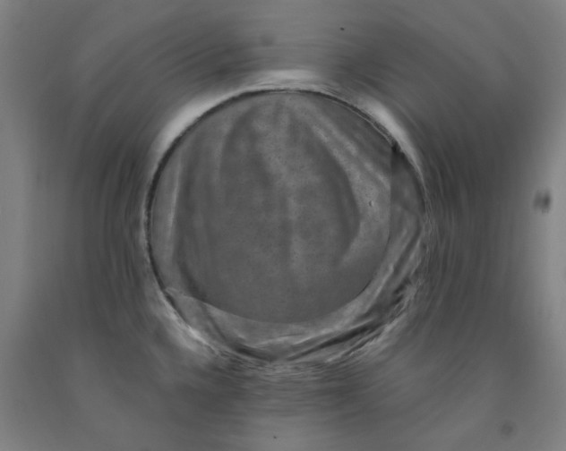 X0000091961336200709271338