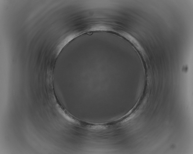 X0000091961337200709271338