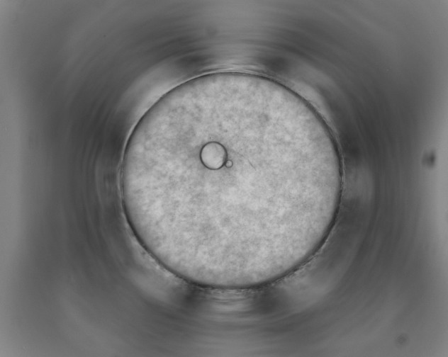 X0000091961338200709271338