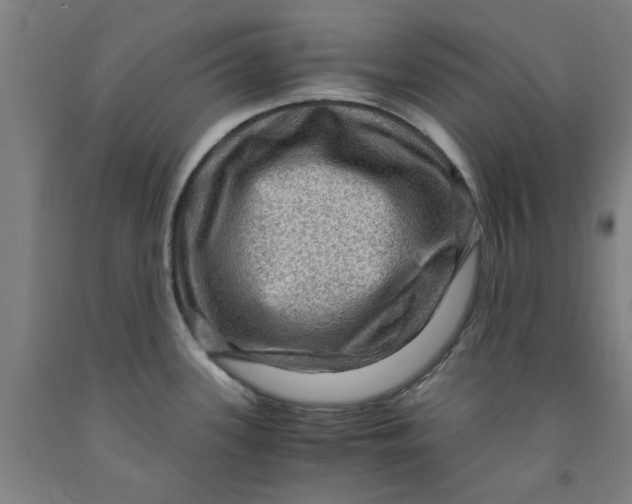 X0000091961339200709271338