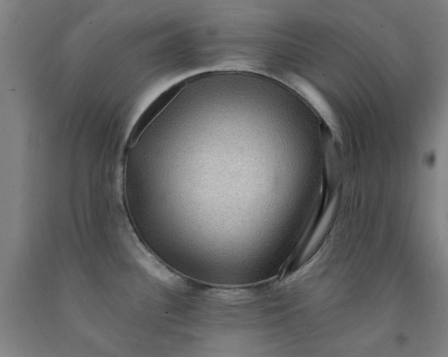 X0000091961340200709271338