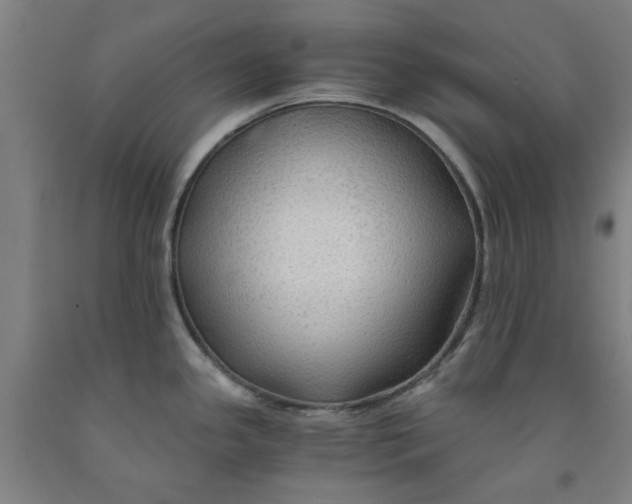 X0000091961341200709271338