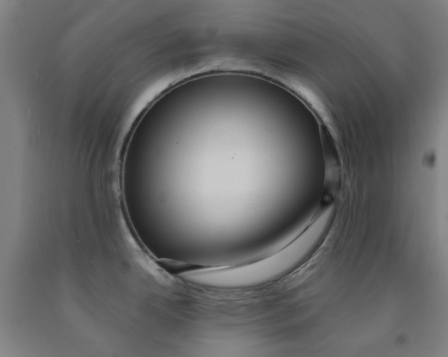 X0000091961342200709271338