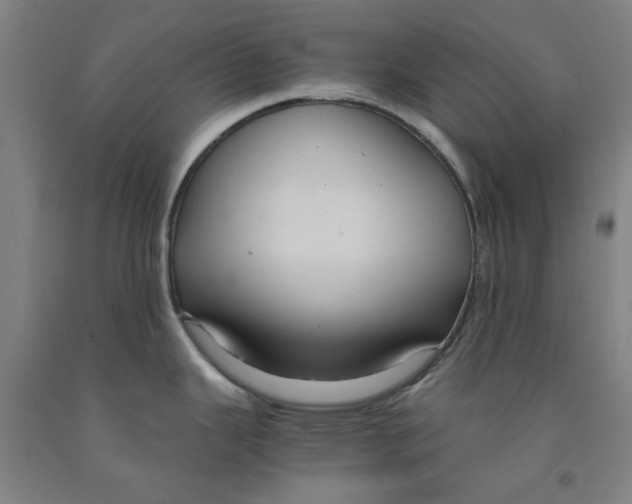 X0000091961343200709271338