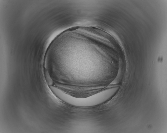 X0000091961344200709271338