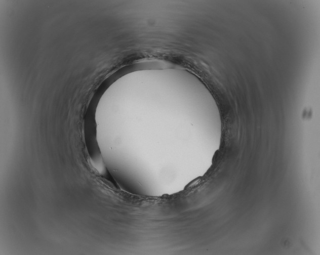 X0000091961345200709271338