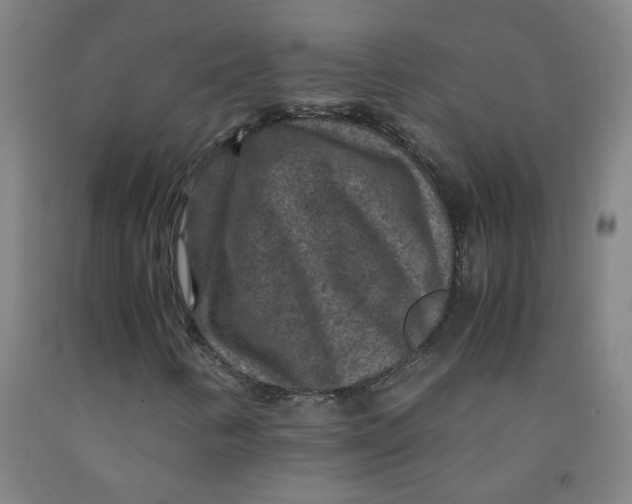 X0000091961346200709271338