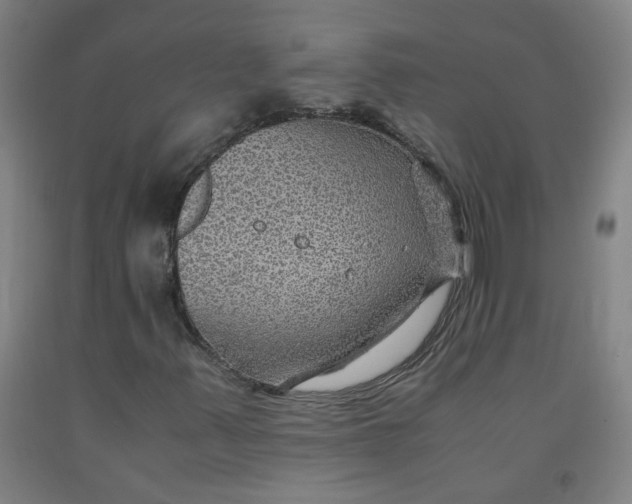 X0000091961347200709271338