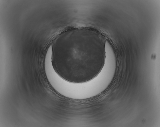 X0000091961348200709271338