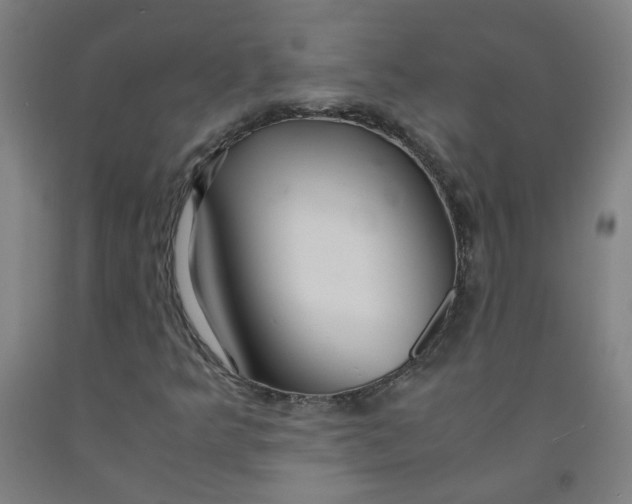 X0000091961349200709271338