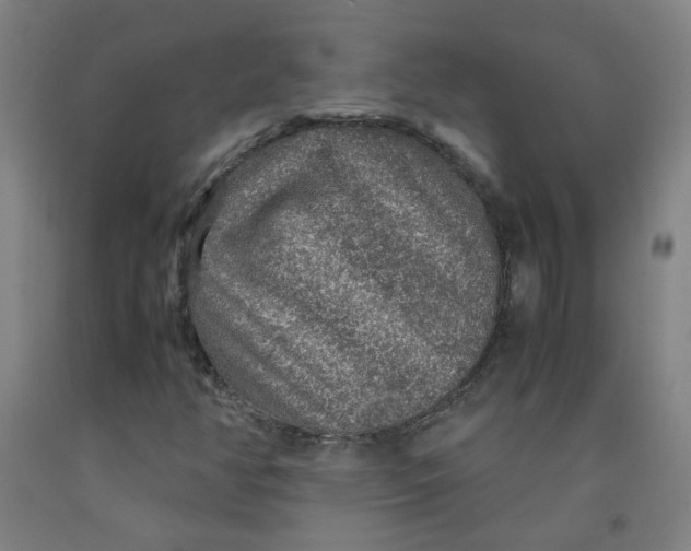 X0000091961350200709271338