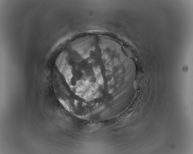 X0000091961351200709271338