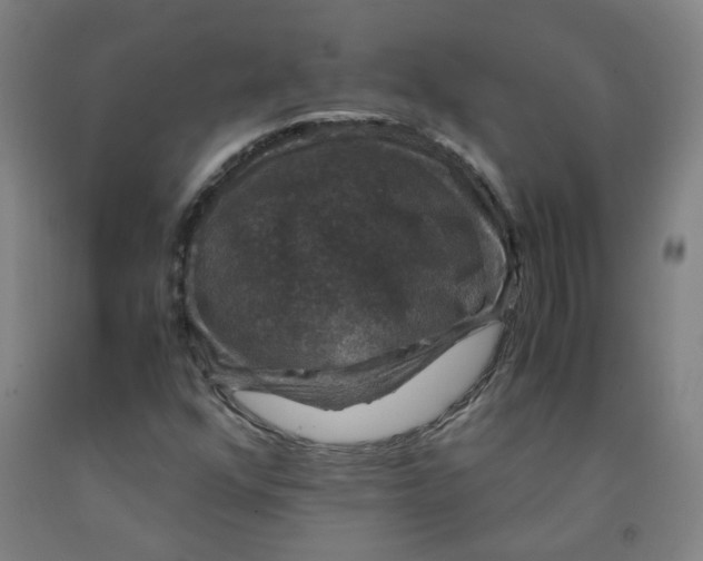 X0000091961352200709271338