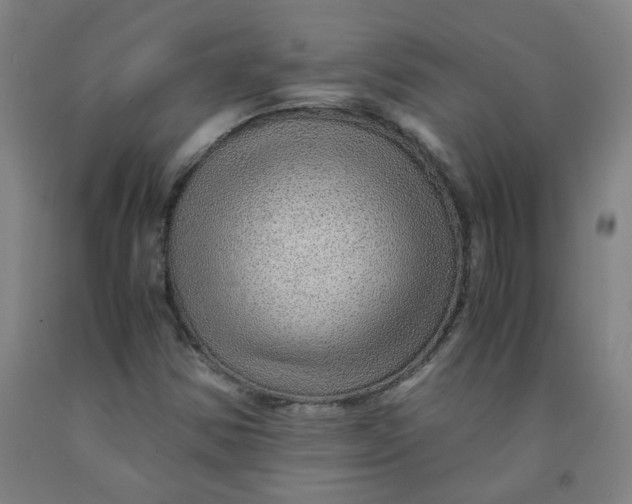 X0000091961354200709271337