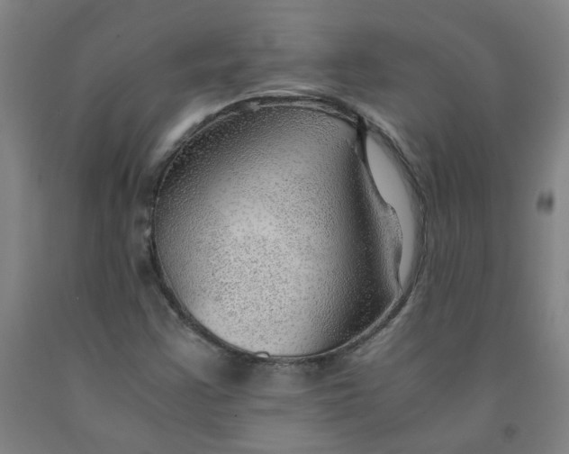 X0000091961355200709271337